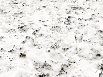 Natural Snowy Winter Landscape Showing Footprints And Exposed Grass Patches 3d model