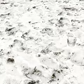 Natural Snowy Winter Landscape Showing Footprints And Exposed Grass Patches