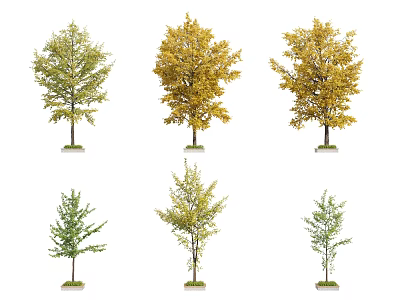 Tree Pit With Various Green And Yellow Leaf Trees In Landscape Design 3d model