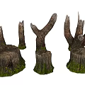Natural Wooden Stumps With Green Moss And Tree Branches For Decorative Design Elements