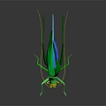 Green grasshopper with yellow head blue abdomen long antennae green wings on black background reflection