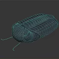 Detailed Prehistoric Trilobite 3D Model With Textured Exoskeleton And Antennae