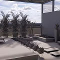 Roof Garden Design with Wooden Deck Palm Plants Outdoor Seating Glass Roof and City View