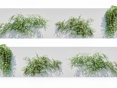 Green Vines Covering Walls In Various Styles 3d model