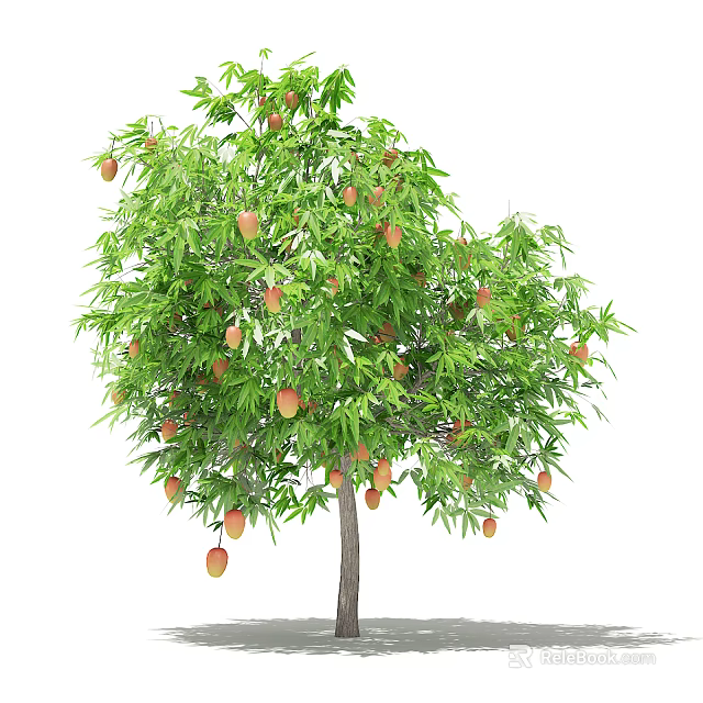 Lush Arbor With Green Leaves And Ripe Mango Fruits Growing On Branches 3d model 