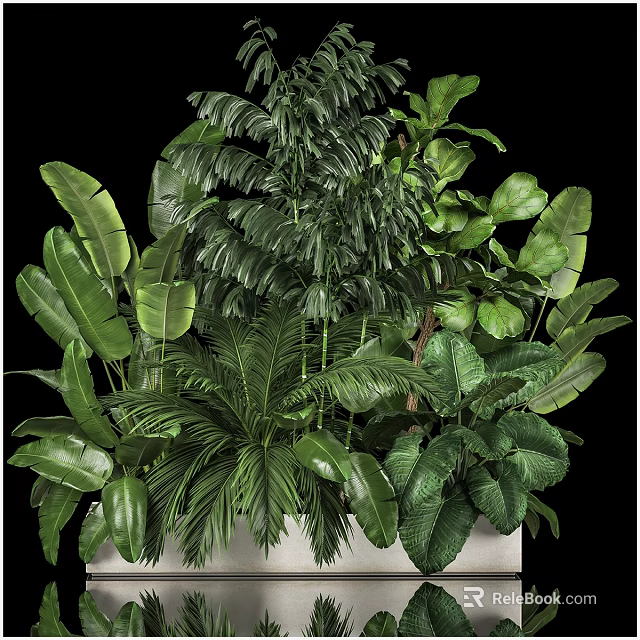 Lush Bonsai Plant Collection With Various Green Leaves And Decorative Pot 3d model 