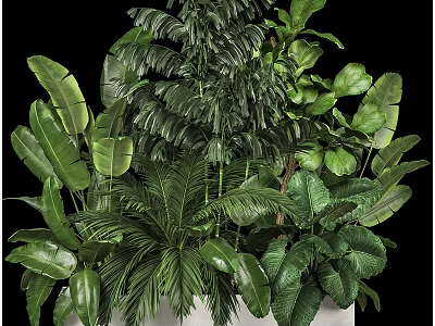 Lush Bonsai Plant Collection With Various Green Leaves And Decorative Pot 3d model