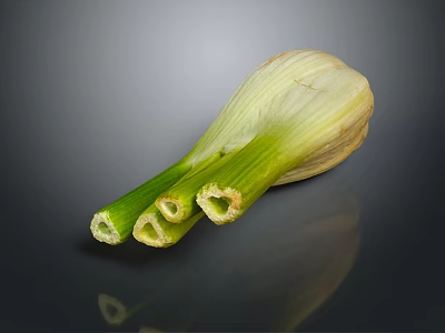 Fresh Green Leek with White Base and Split Green Stems on Dark Background with Reflection 3d model