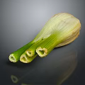 Fresh Green Leek with White Base and Split Green Stems on Dark Background with Reflection 3d model