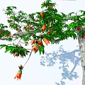Lush Arbor With Green Leaves Orange Flowers And Thick Trunk