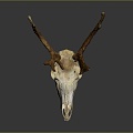 Modern Skull Reindeer Reindeer Skull Reindeer Skeleton 3d model