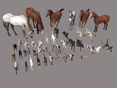 Various Reptile Species Including Lizards Snakes And Tortoises In 3d model