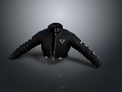 Modern Black Jacket With Stand Collar Front Zipper And Sleeve Accents 3d model