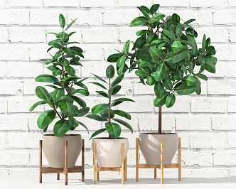 Nordic Potted Plant Green Plant Potted Plant 3d model