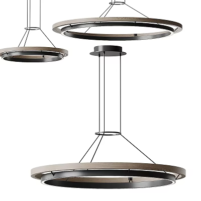 Elegant Modern Circular Chandeliers With Metal Frame Minimalist Hanging Design Interior Decor 3d model