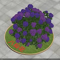 Lush Purple Hydrangea in Round Flower Bed with Green Grass and Square Tiles