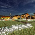 Starry Night Homestay Buildings Surrounded By Rice Field With White Lights And Windmill