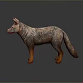 Standing Gray Fox Model With Detailed Textured Coat Brown Legs And Shiny Reflection