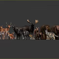 Various Wildlife Animal Figurines Collection Featuring Deer Bear Wolf Fox And Chicken Models