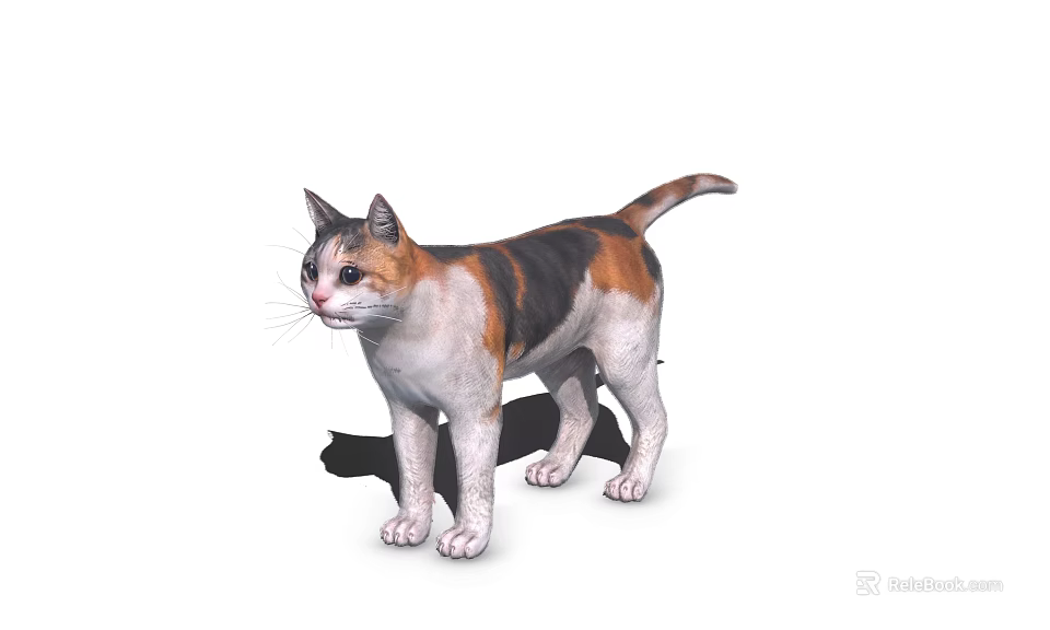 Calico Cat With White Black Orange Fur Standing On White Background With Shadow 3d model 