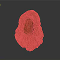 Orange Hooded Fantasy Game Movie Character 3D Render Model With Long Fur Details