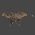 Close Up View Of Butterfly And Colorful Cube On Gray Background Scene