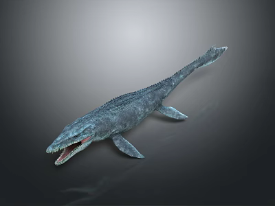 Anatomically Realistic Prehistoric Marine Reptile 3D Model With Open Mouth And Flippers 3d model