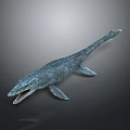 Anatomically Realistic Prehistoric Marine Reptile 3D Model With Open Mouth And Flippers