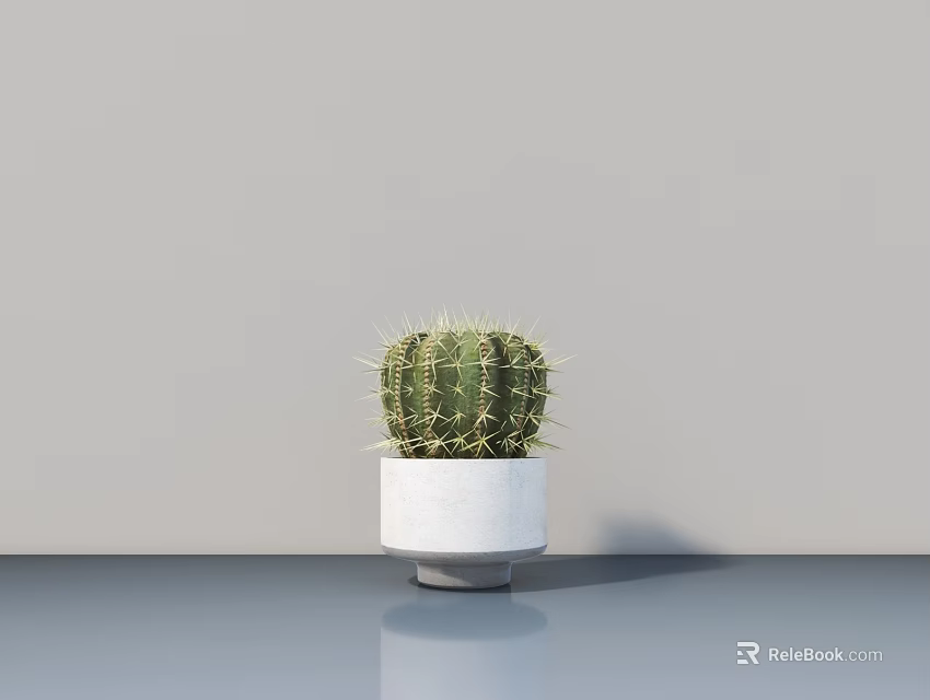Cactus Bonsai Plant in White Concrete Pot on Reflective Gray Tabletop Against Gray Wall 3d model 