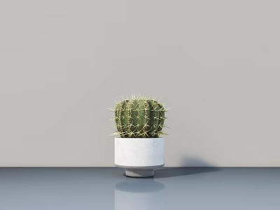 Cactus Bonsai Plant in White Concrete Pot on Reflective Gray Tabletop Against Gray Wall 3d model