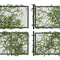 Lush Green Vines Growing On Black Mesh Fences For Garden Decoration