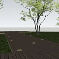In ground Outdoor Lights Illuminating Wooden Walkway With Grass And Trees