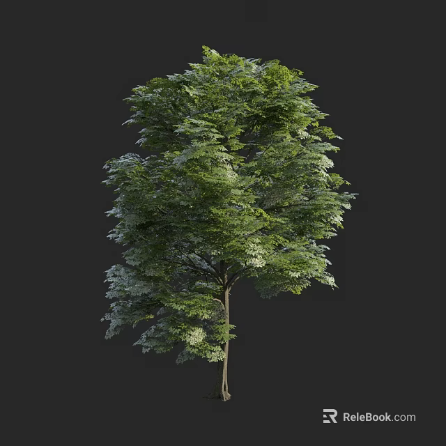 Tall Arbor With Lush Green Foliage And Strong Tree Trunk 3d model 