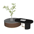 Round Black Coffee Tables With Marble Top Brown Base Glass Vase Green Plant And Book