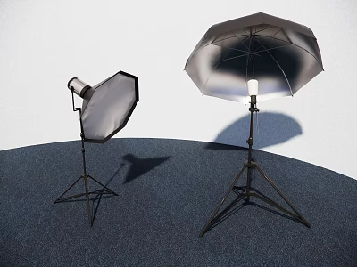 Professional Photography Lighting Setup With Softbox And Umbrella Light On Tripods 3d model