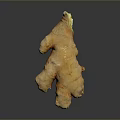 Fresh Raw Ginger Root with Natural Brown Texture Healthy Culinary Ingredient 3d model