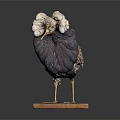 Bird With White Fluffy Head Dark Body Patterned Wings On Wooden Base Against Dark Background