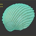 Modern shell seashell seafood seafood hard shell conch 3d model