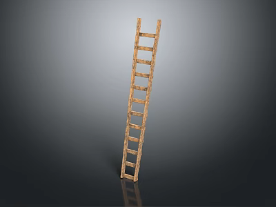 Wooden Ladder With Vertical Structure And Wooden Rungs On Gray Background 3d model
