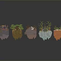 Small Potted Plants With Various Styles Decorative Stones And Colorful Accents