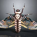Detailed 3D Rendered Moth With Skull Pattern On Back And Vibrant Wing Patterns