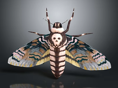 Detailed 3D Rendered Moth With Skull Pattern On Back And Vibrant Wing Patterns 3d model