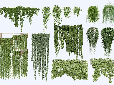 Various Hanging Basket Plants With Lush Trailing Vines And Green Leaves For Home Decor 3d model