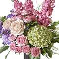 Decorative Flower Arrangement with Pink Roses Purple Hydrangeas and Beige Delphiniums in Black Textured Vase