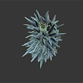 Abstract Blue Spiky Structure With Sharp Crystalline Projections On White Background