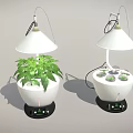 Indoor Plant Grow Lights With White Lampshades And Green Plant Containers