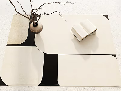 Modern Square Carpet With Vase Open Book And Black White Geometric Pattern 3d model