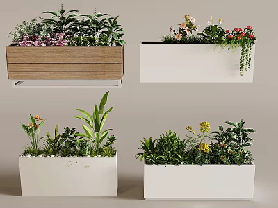 Bonsai Potted Plants With Wooden And White Containers Featuring Various Greenery And Flowers 3d model