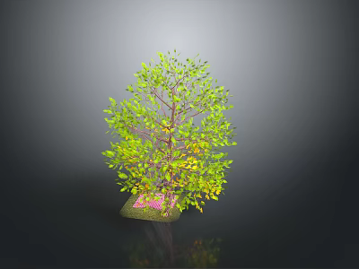 Green Leafy Tree with Brown Trunk and Pink Ground Base 3d model