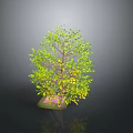 Green Leafy Tree with Brown Trunk and Pink Ground Base 3d model